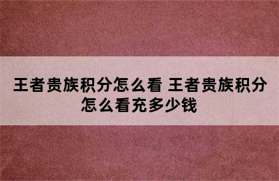 王者贵族积分怎么看 王者贵族积分怎么看充多少钱